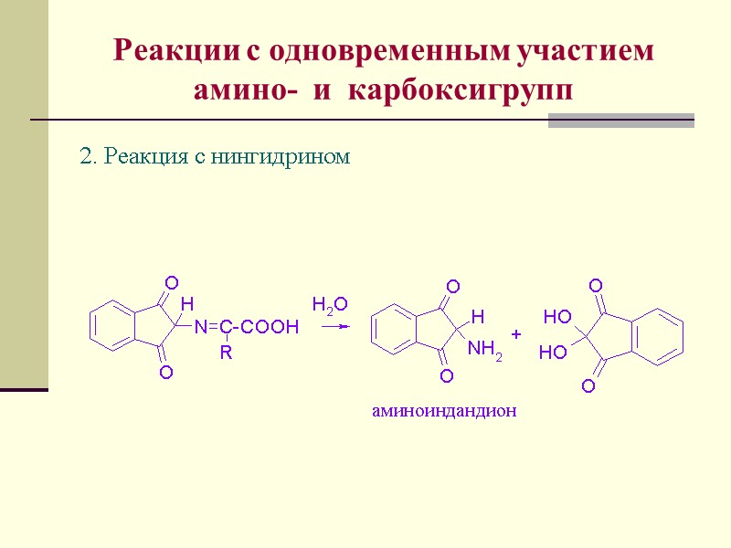 Реакции с одновременным участием амино-  и  карбоксигрупп 2. Реакция с нингидрином